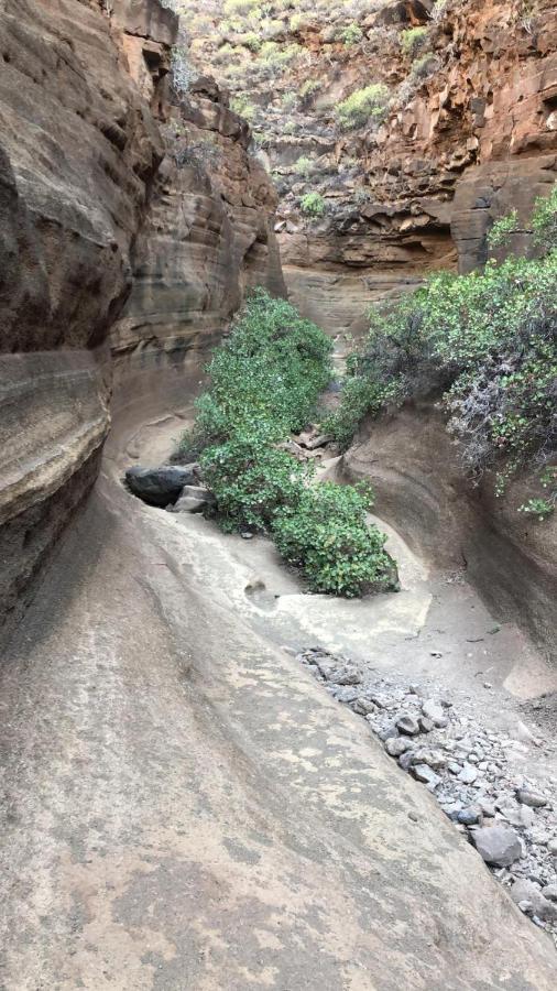 La Cuadra Finca El Calabres Agüimes Exteriör bild