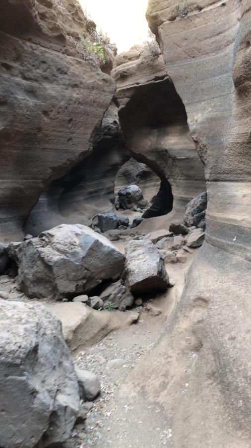 La Cuadra Finca El Calabres Agüimes Exteriör bild