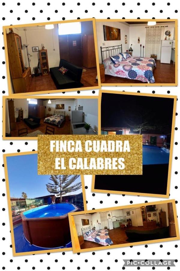 La Cuadra Finca El Calabres Agüimes Exteriör bild