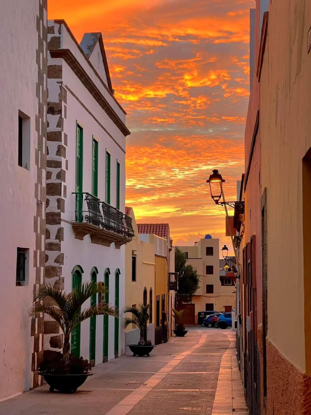 La Cuadra Finca El Calabres Agüimes Exteriör bild